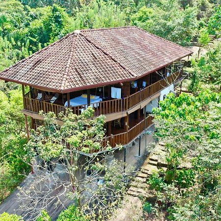 Wanakaset Forest Glamping 키둘가라 외부 사진
