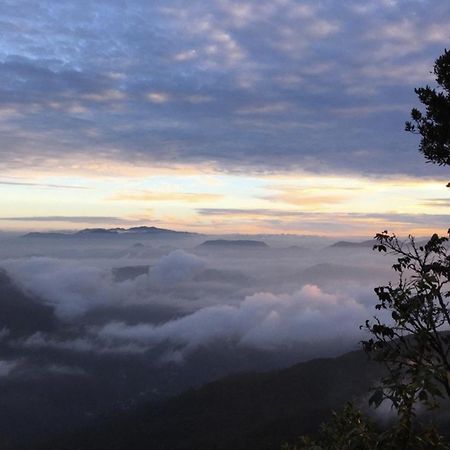 Wanakaset Forest Glamping 키둘가라 외부 사진