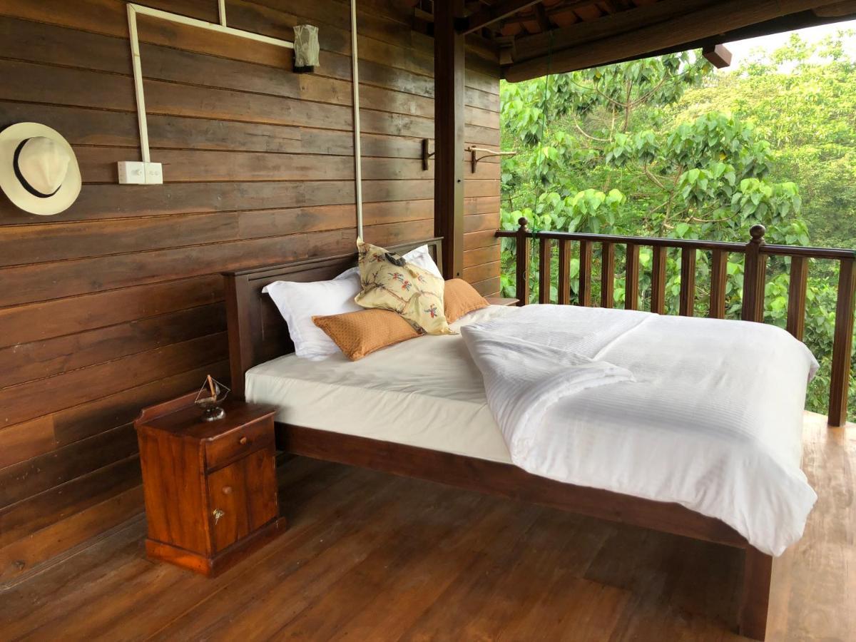 Wanakaset Forest Glamping 키둘가라 외부 사진