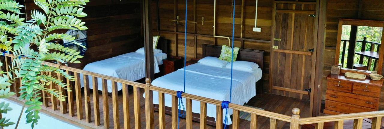 Wanakaset Forest Glamping 키둘가라 외부 사진