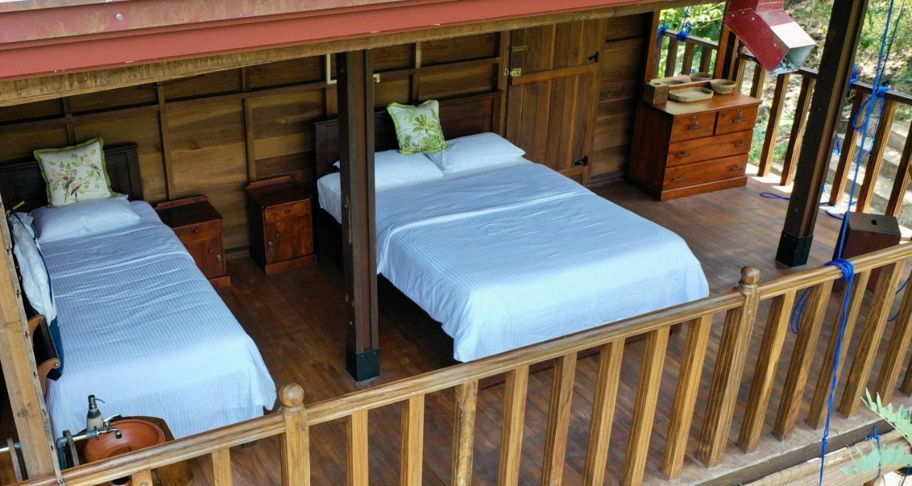 Wanakaset Forest Glamping 키둘가라 외부 사진