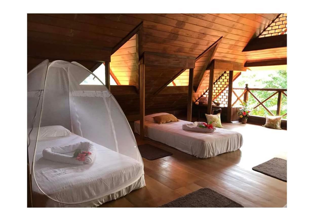 Wanakaset Forest Glamping 키둘가라 외부 사진