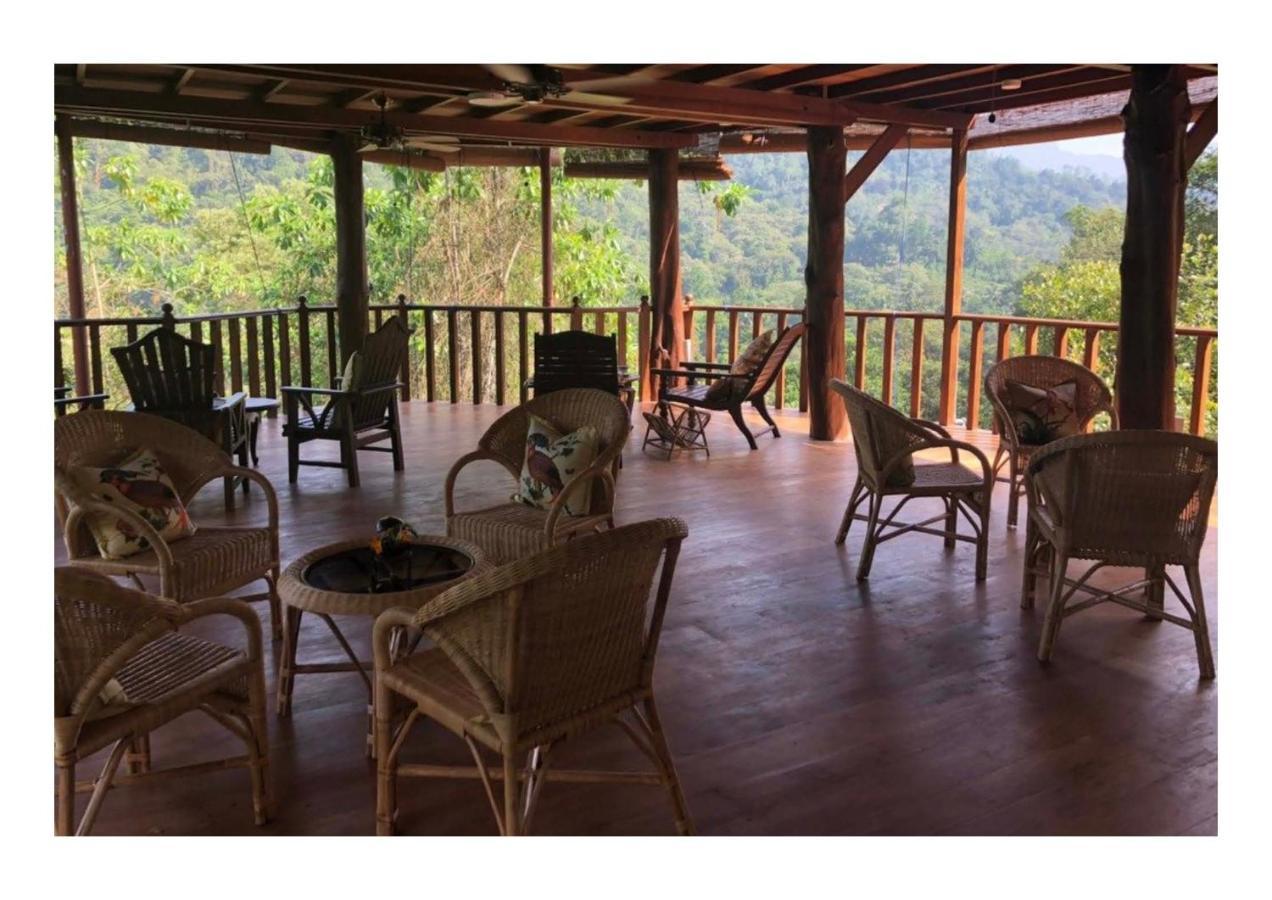 Wanakaset Forest Glamping 키둘가라 외부 사진