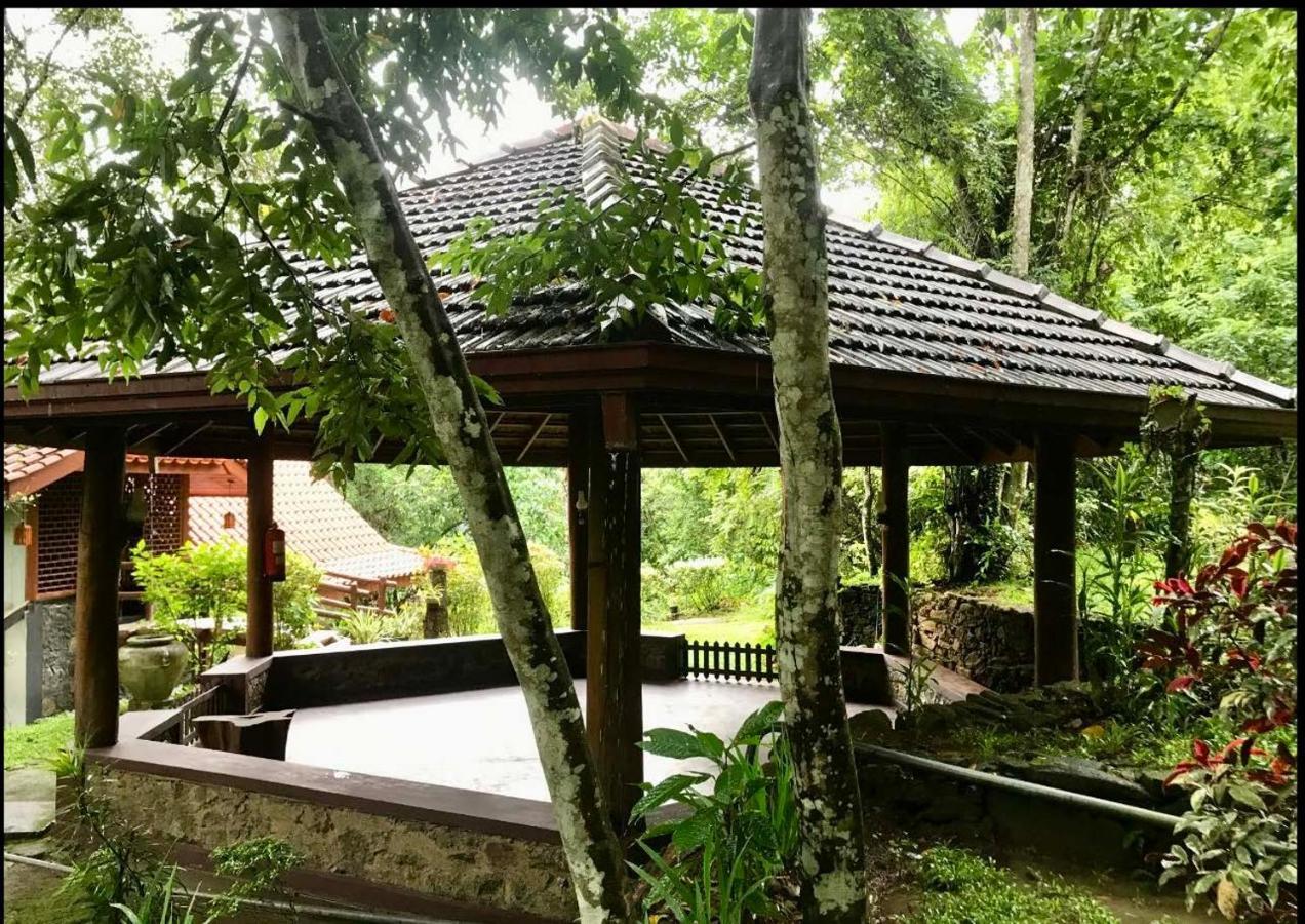 Wanakaset Forest Glamping 키둘가라 외부 사진