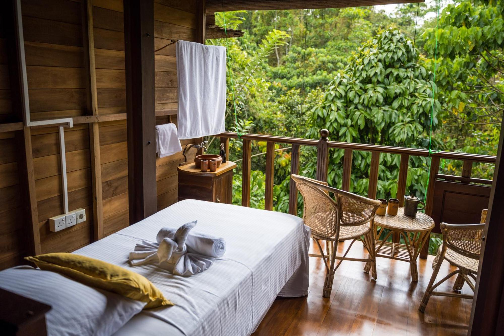 Wanakaset Forest Glamping 키둘가라 외부 사진