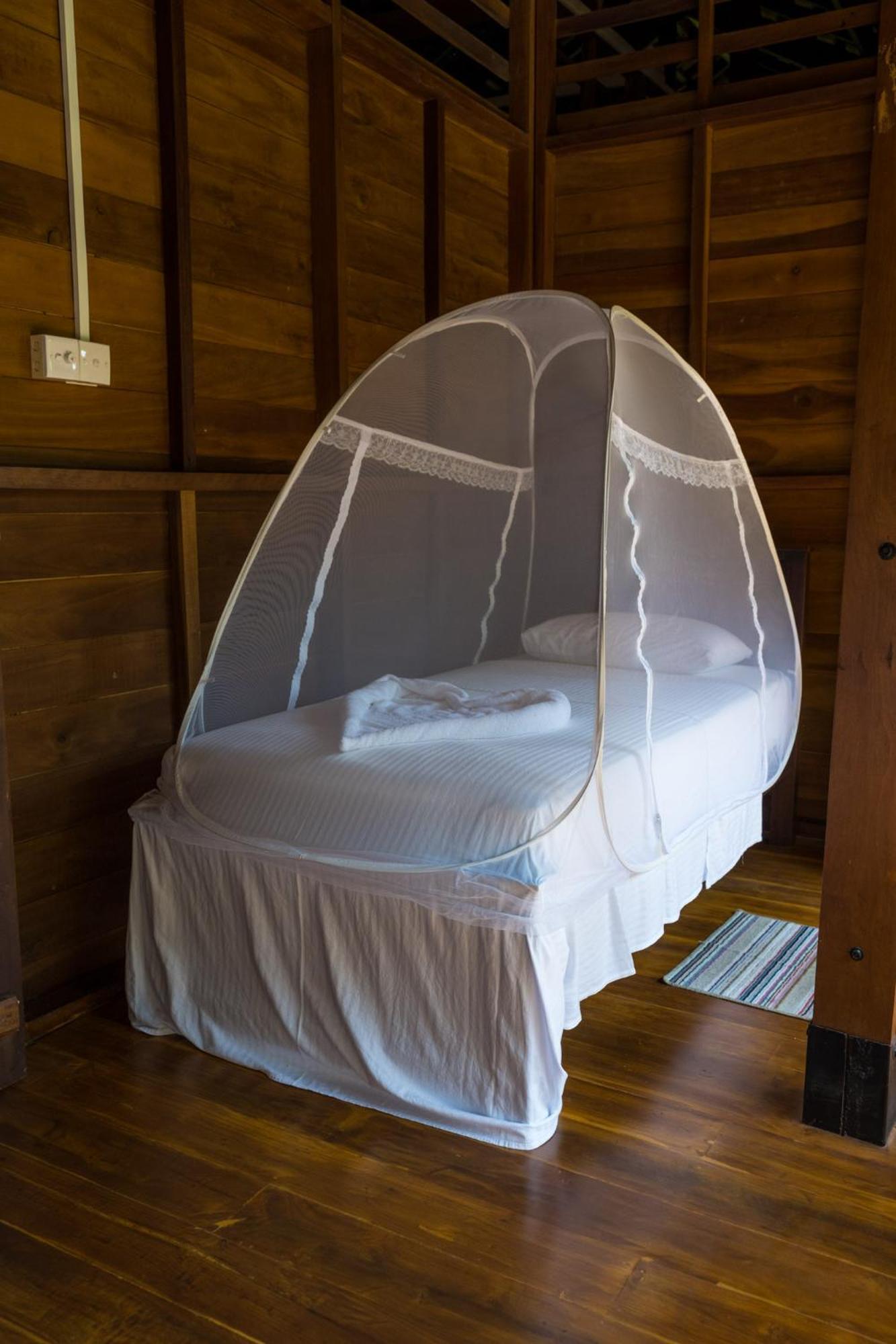 Wanakaset Forest Glamping 키둘가라 외부 사진