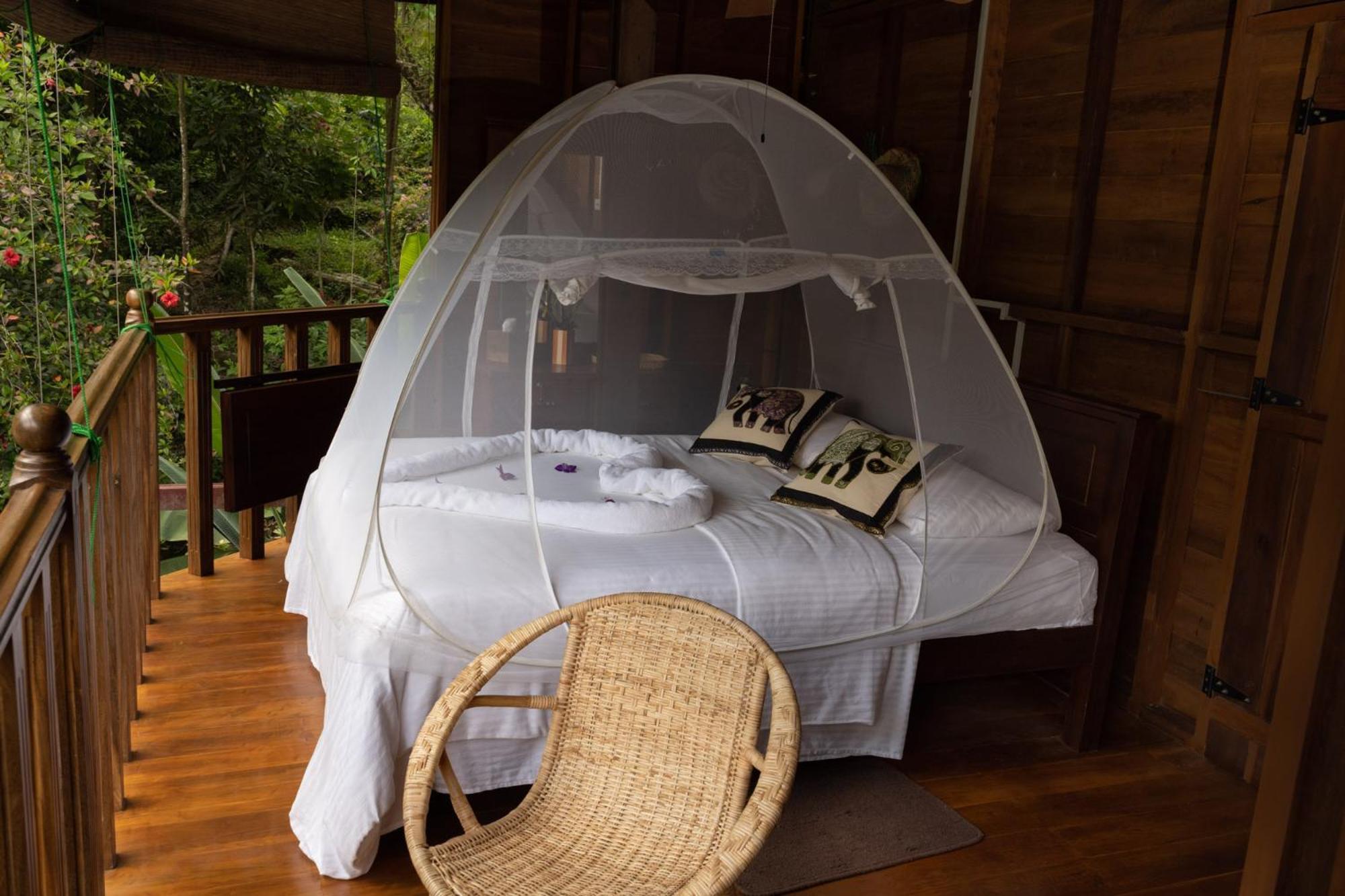 Wanakaset Forest Glamping 키둘가라 외부 사진