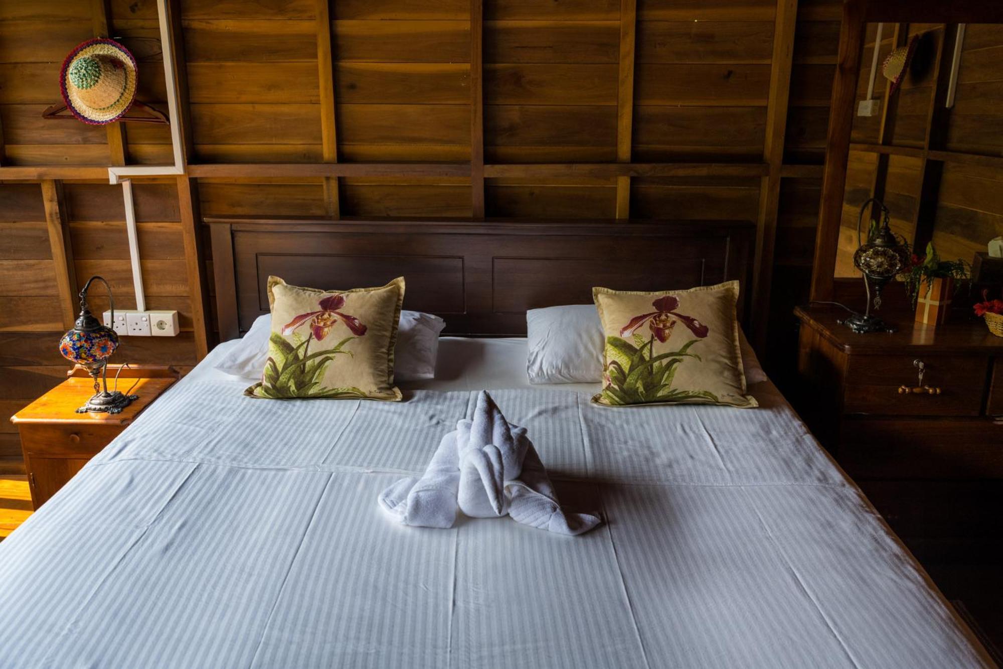 Wanakaset Forest Glamping 키둘가라 외부 사진