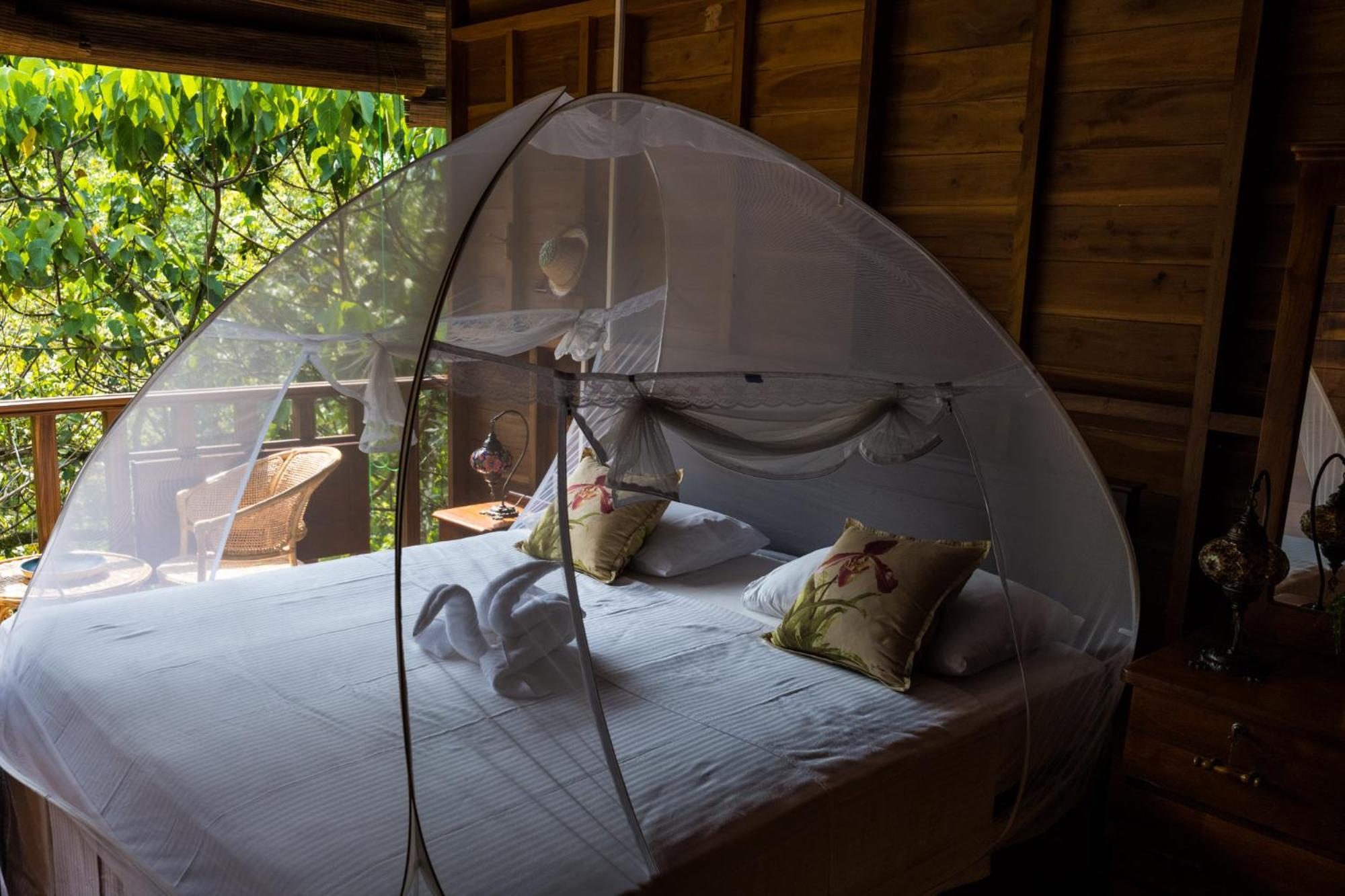Wanakaset Forest Glamping 키둘가라 외부 사진