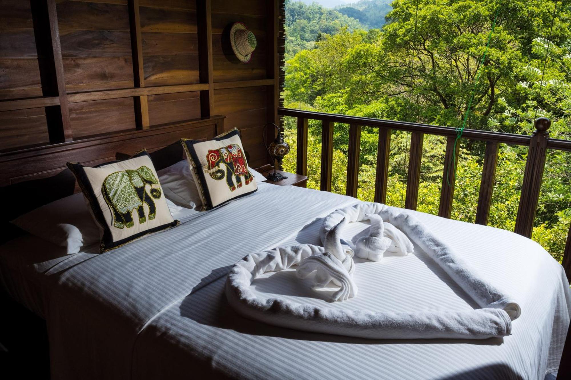 Wanakaset Forest Glamping 키둘가라 외부 사진