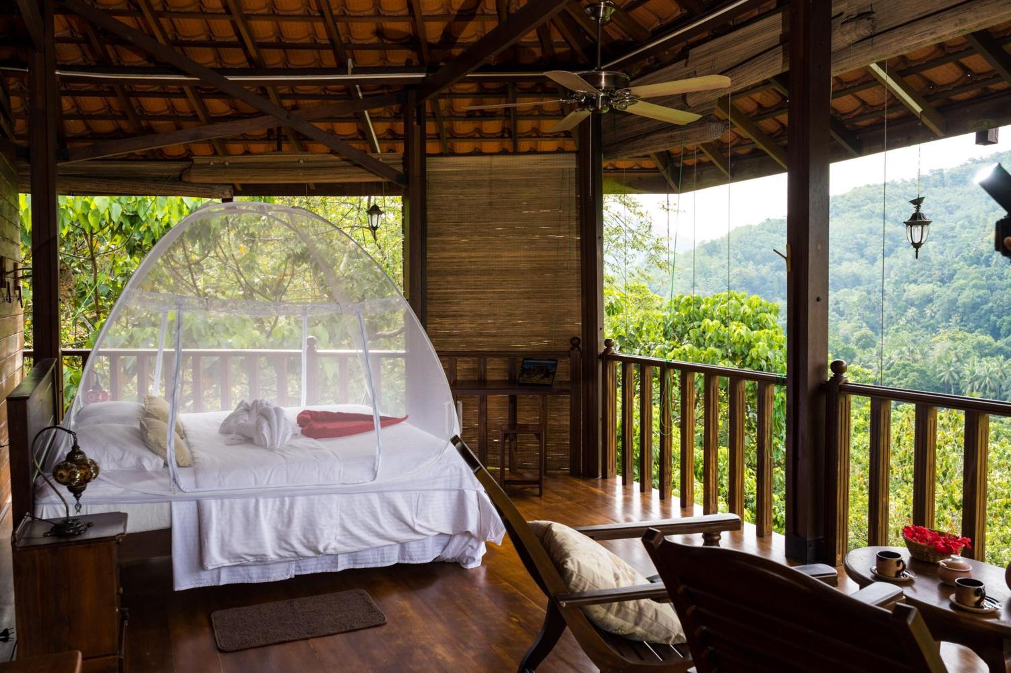 Wanakaset Forest Glamping 키둘가라 외부 사진