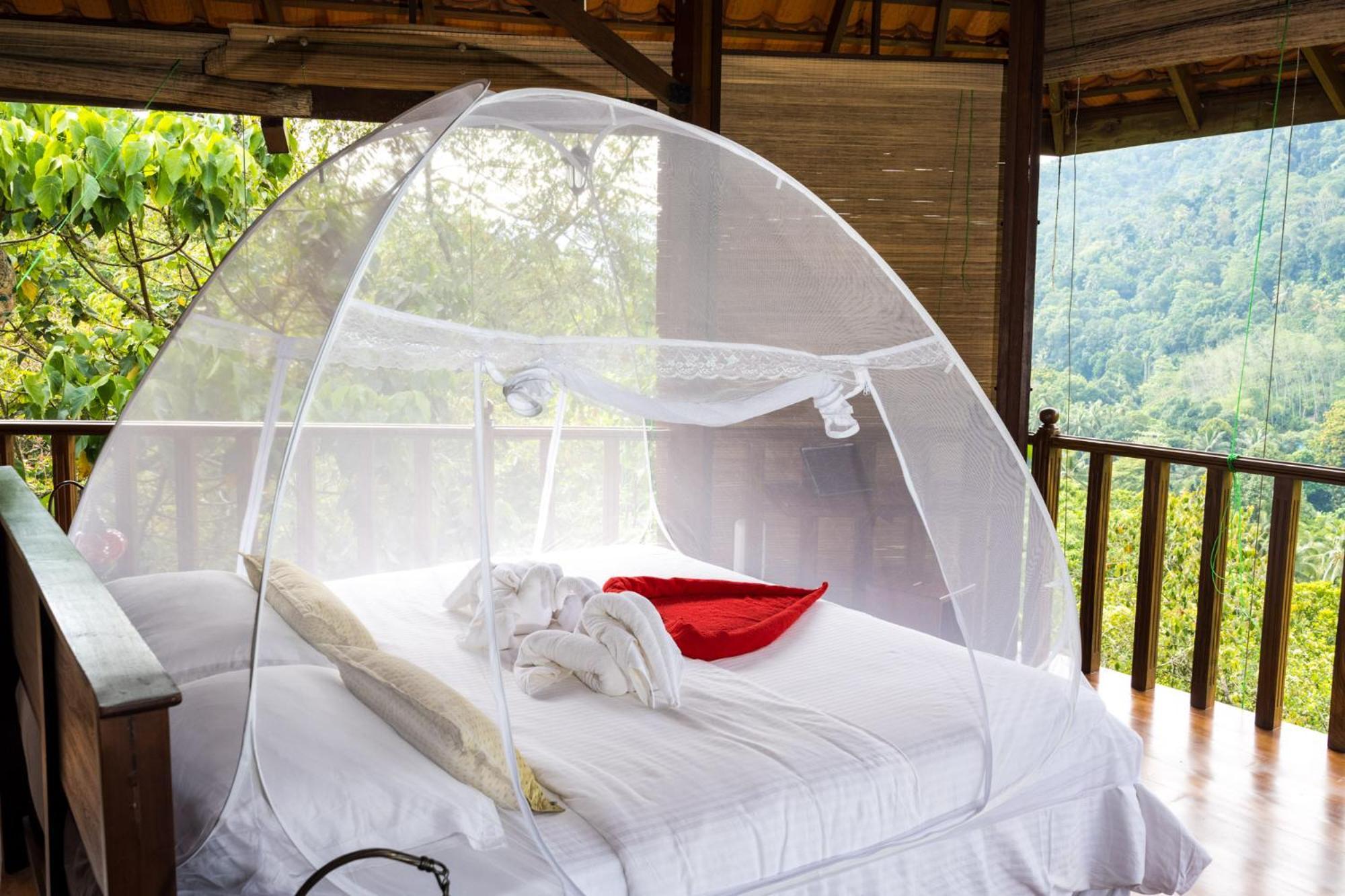 Wanakaset Forest Glamping 키둘가라 외부 사진