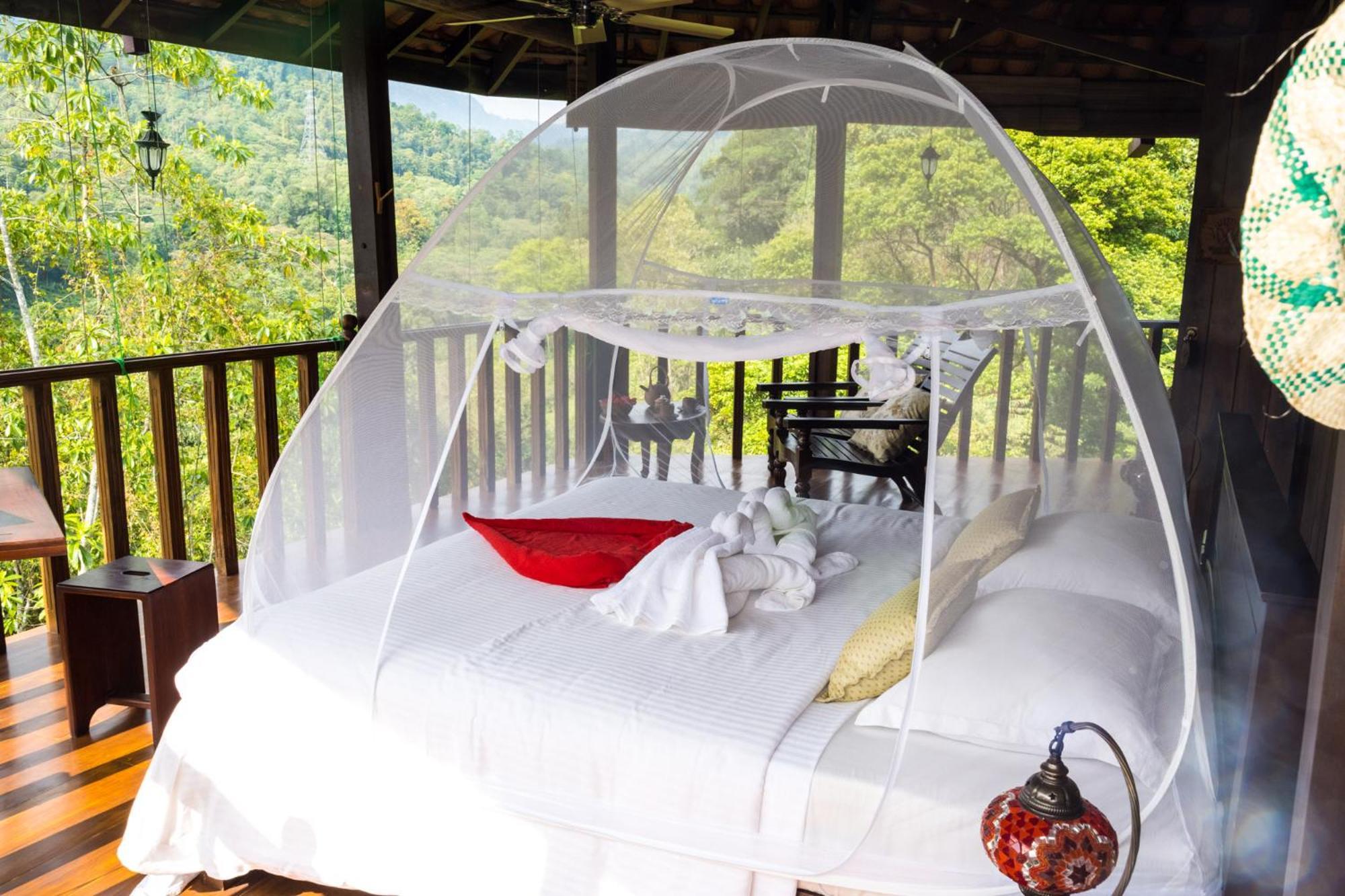 Wanakaset Forest Glamping 키둘가라 외부 사진