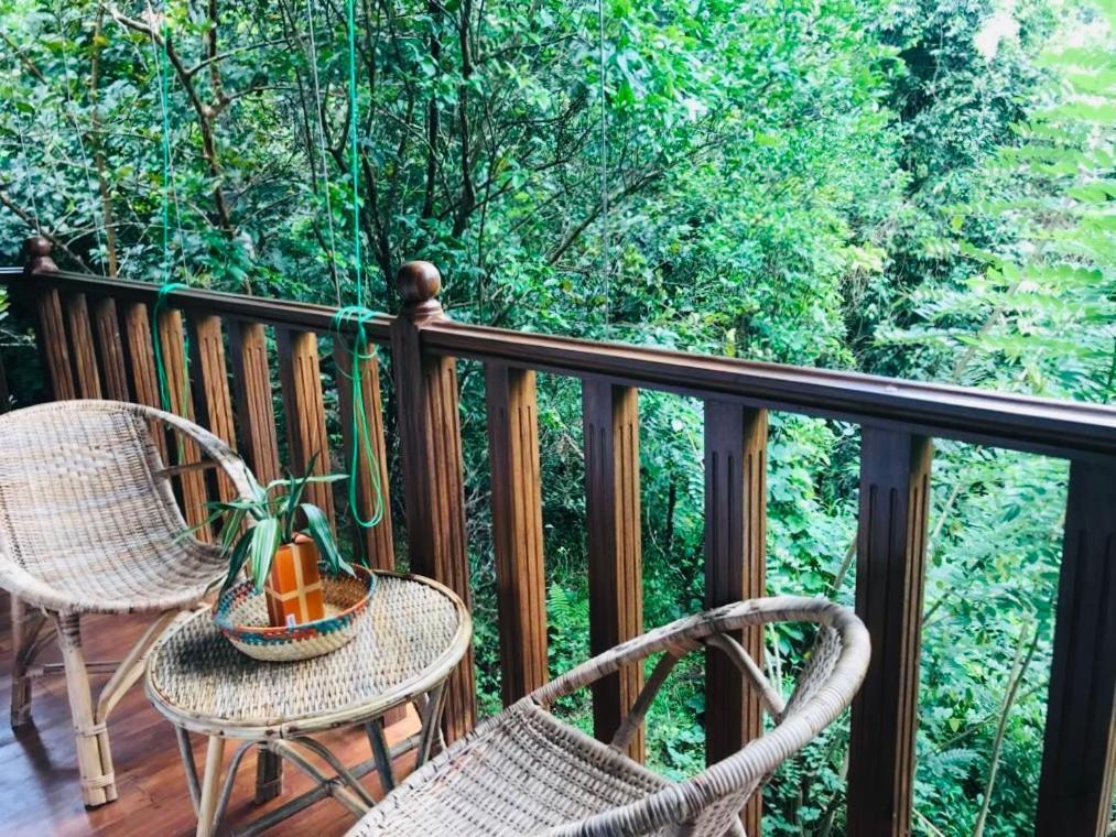 Wanakaset Forest Glamping 키둘가라 외부 사진