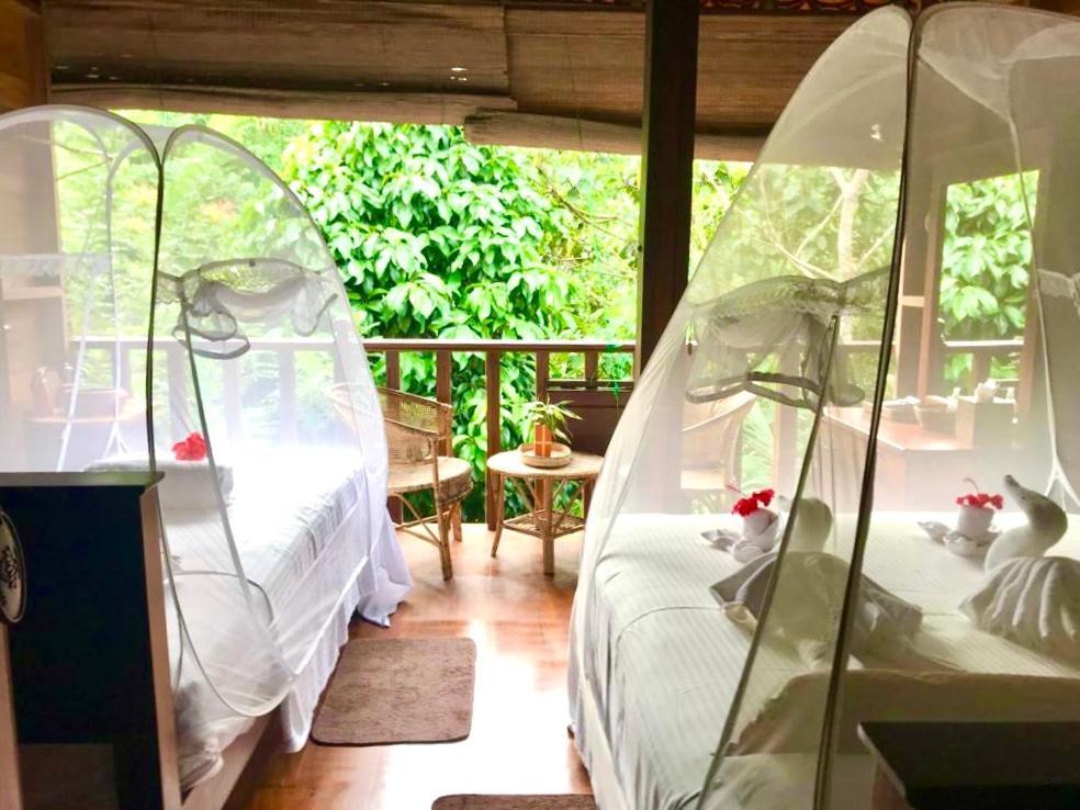 Wanakaset Forest Glamping 키둘가라 외부 사진
