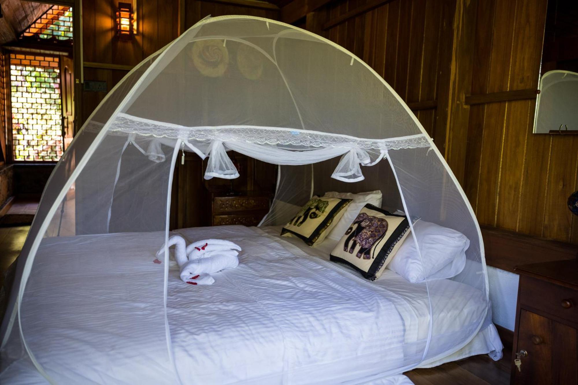 Wanakaset Forest Glamping 키둘가라 외부 사진