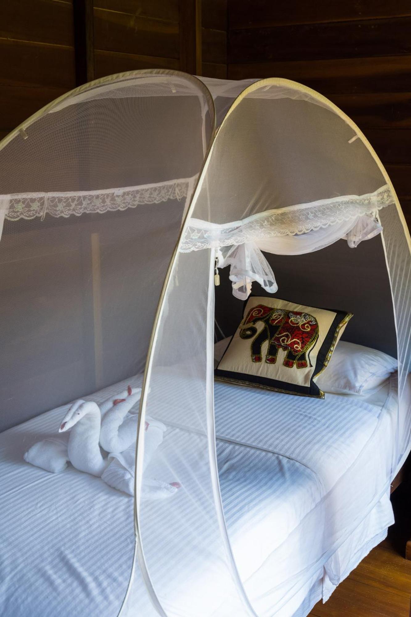 Wanakaset Forest Glamping 키둘가라 외부 사진