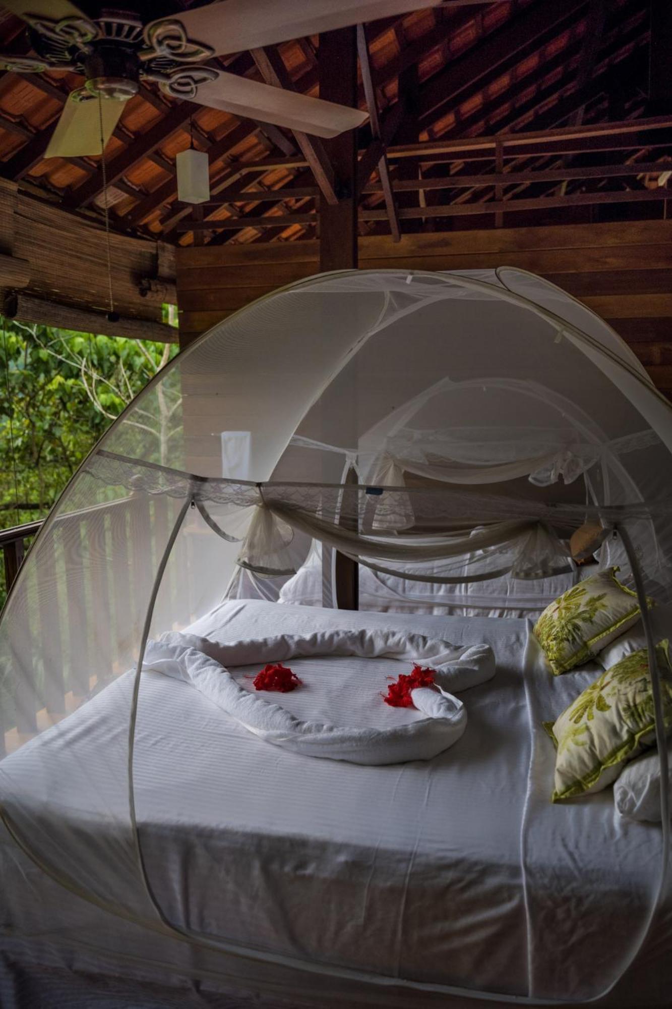 Wanakaset Forest Glamping 키둘가라 외부 사진