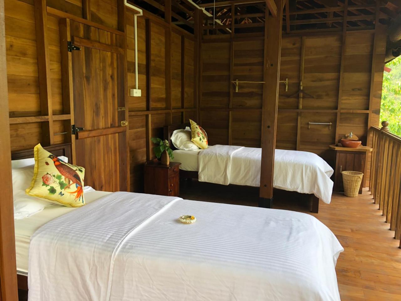 Wanakaset Forest Glamping 키둘가라 외부 사진