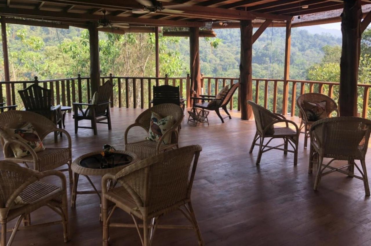 Wanakaset Forest Glamping 키둘가라 외부 사진