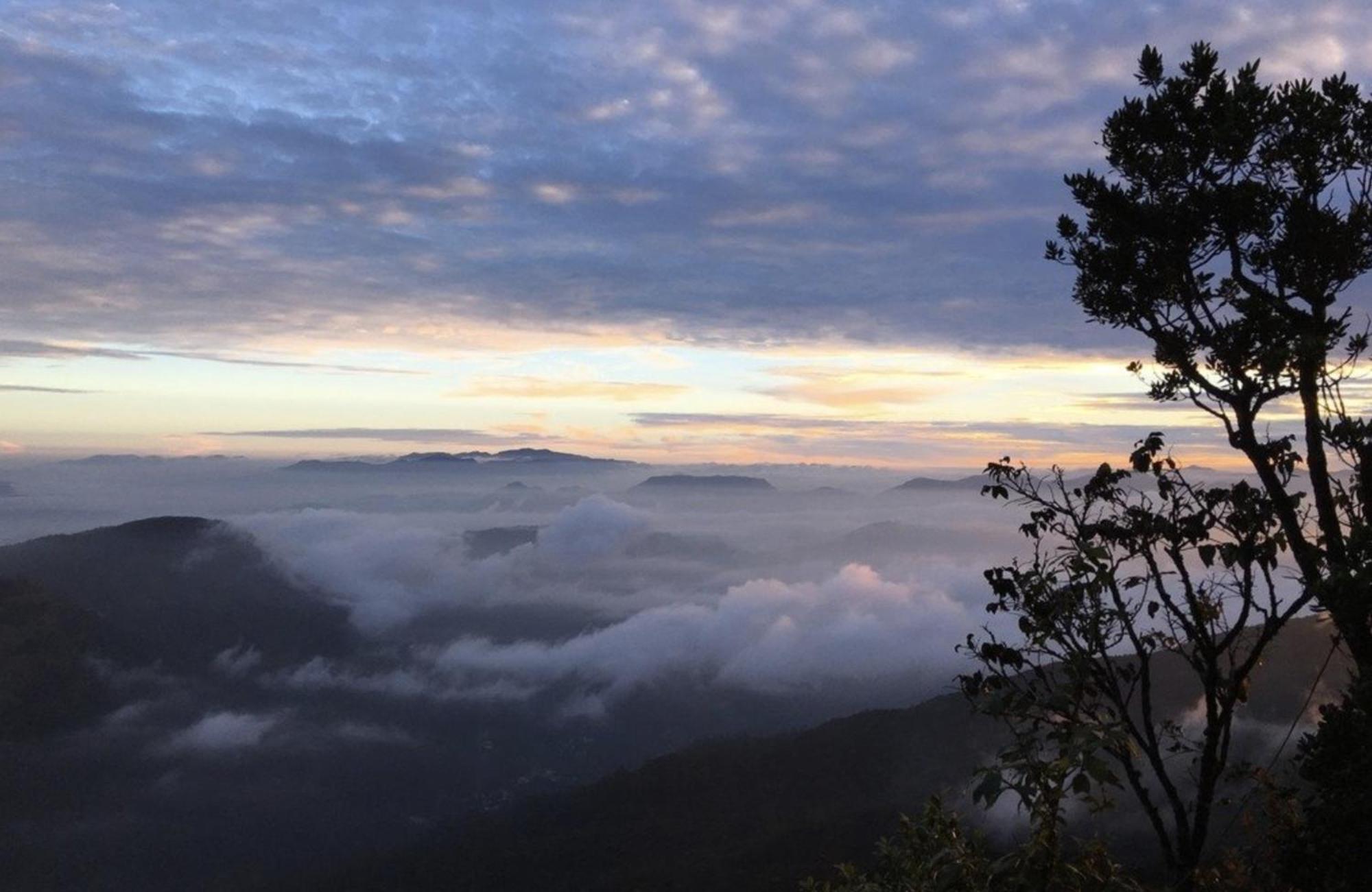 Wanakaset Forest Glamping 키둘가라 외부 사진