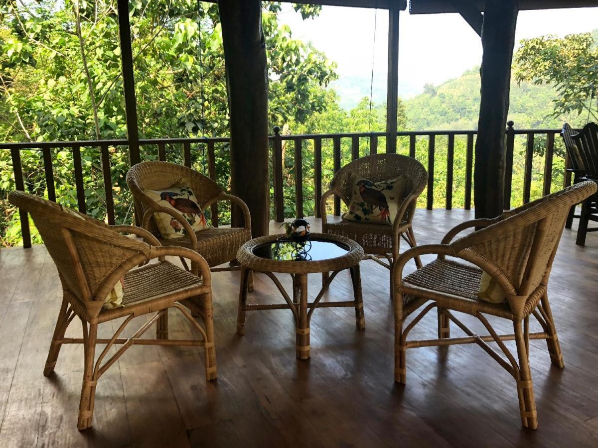 Wanakaset Forest Glamping 키둘가라 외부 사진